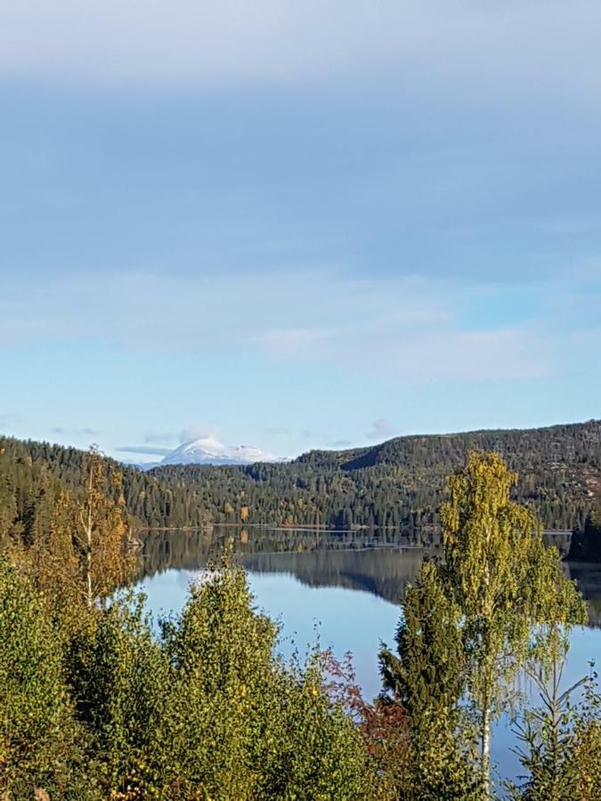 Libehi Villa Lona Eksteriør bilde